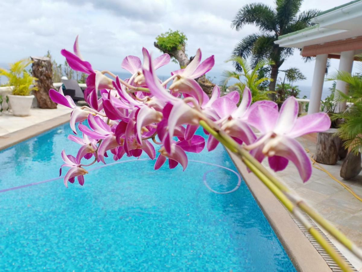 Casa Doro Villa Glacis  外观 照片