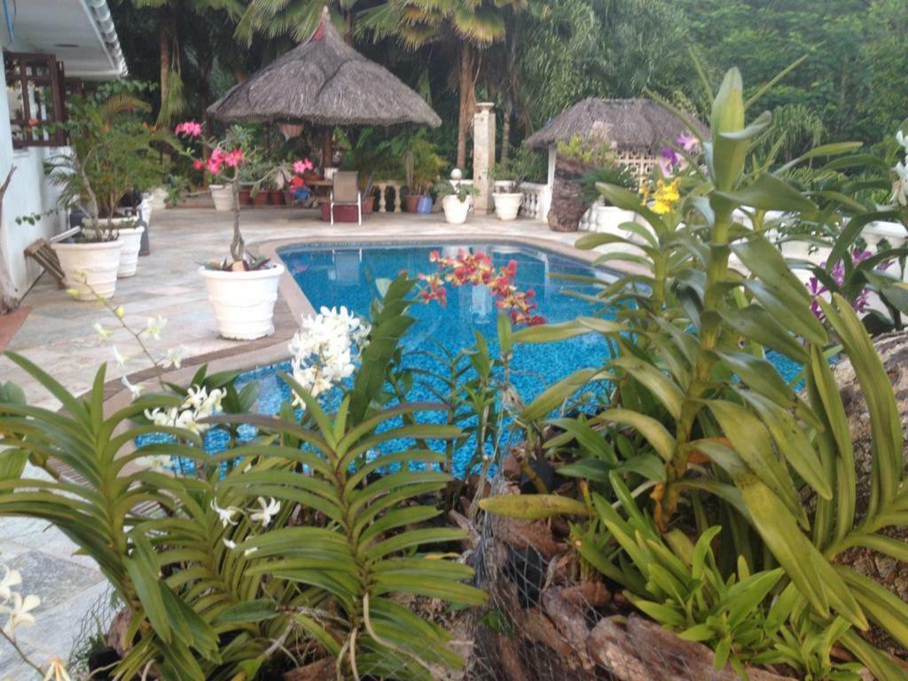 Casa Doro Villa Glacis  外观 照片
