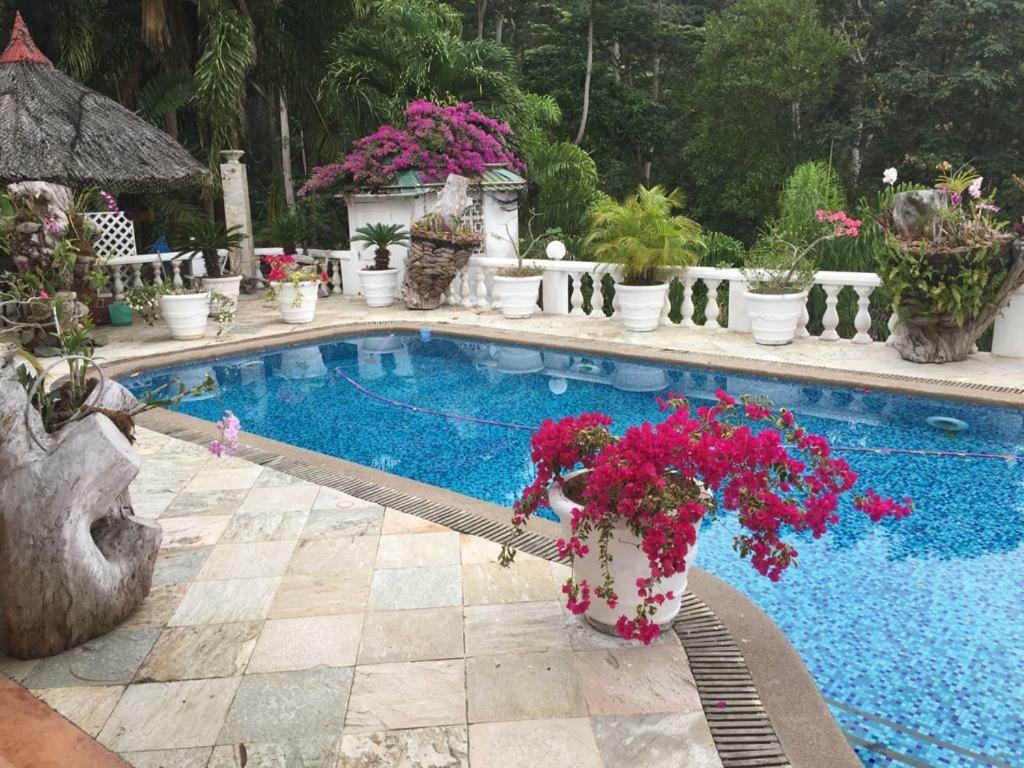Casa Doro Villa Glacis  外观 照片